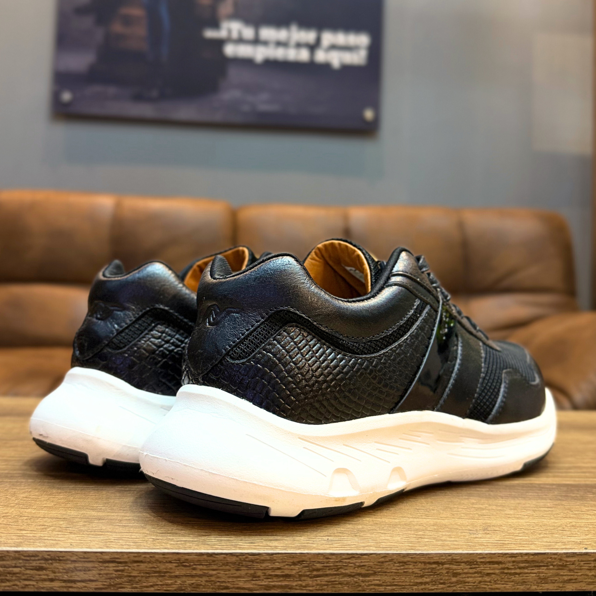 ASHER NEGRO X BLANCO